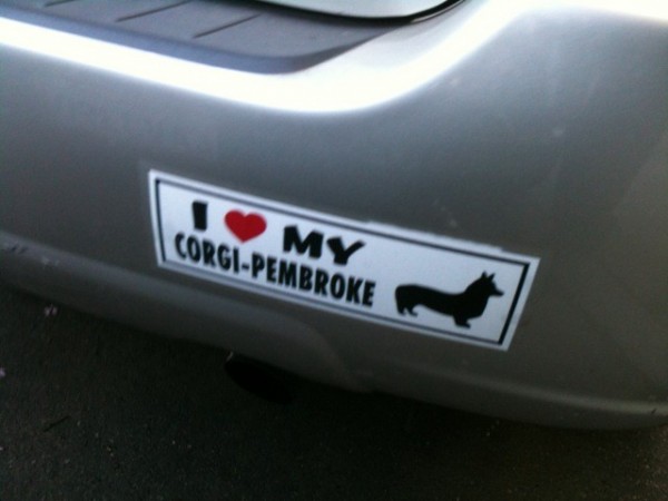 I (heart) My Corgi-Pembroke