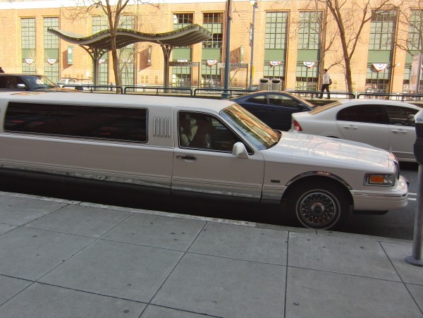 Pit Bull in a Stretch Limo