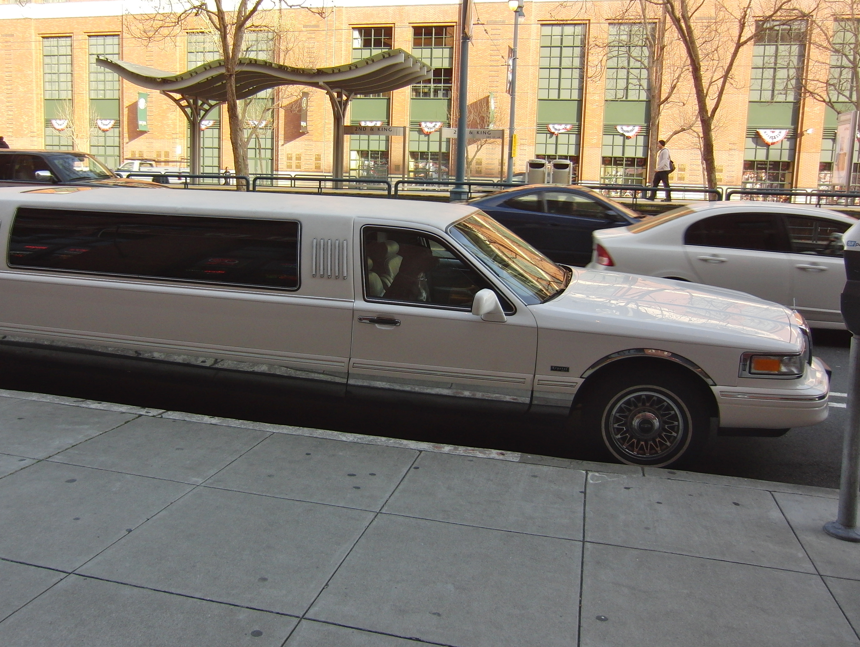Pit Bull in a Stretch Limo