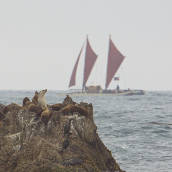 Sea Lion Rock With Boat