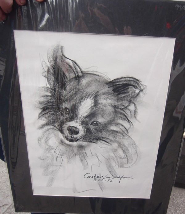 Charcoal Drawing of a Pomeranian