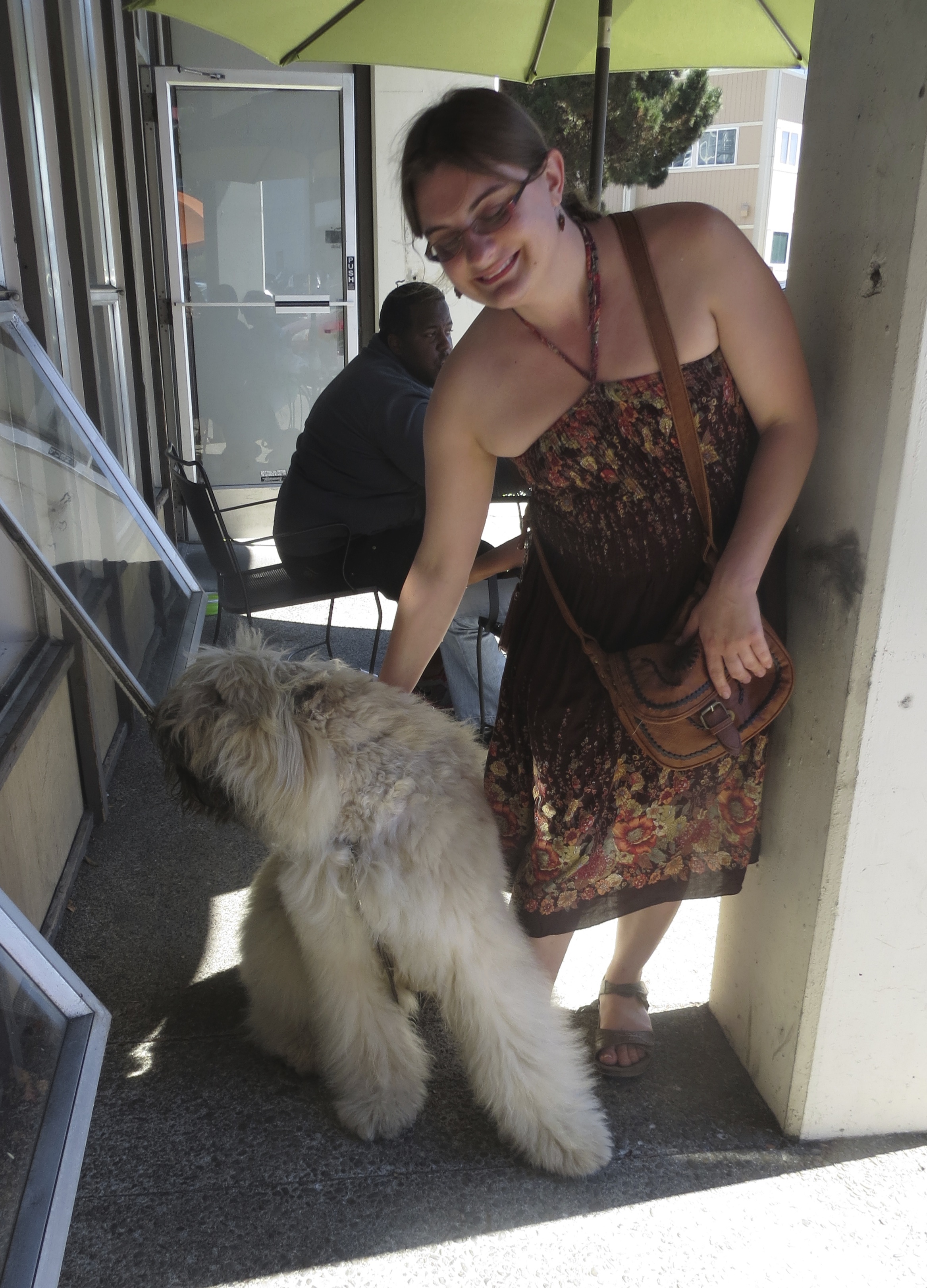 Fawn Bouvier des Flandres And Woman