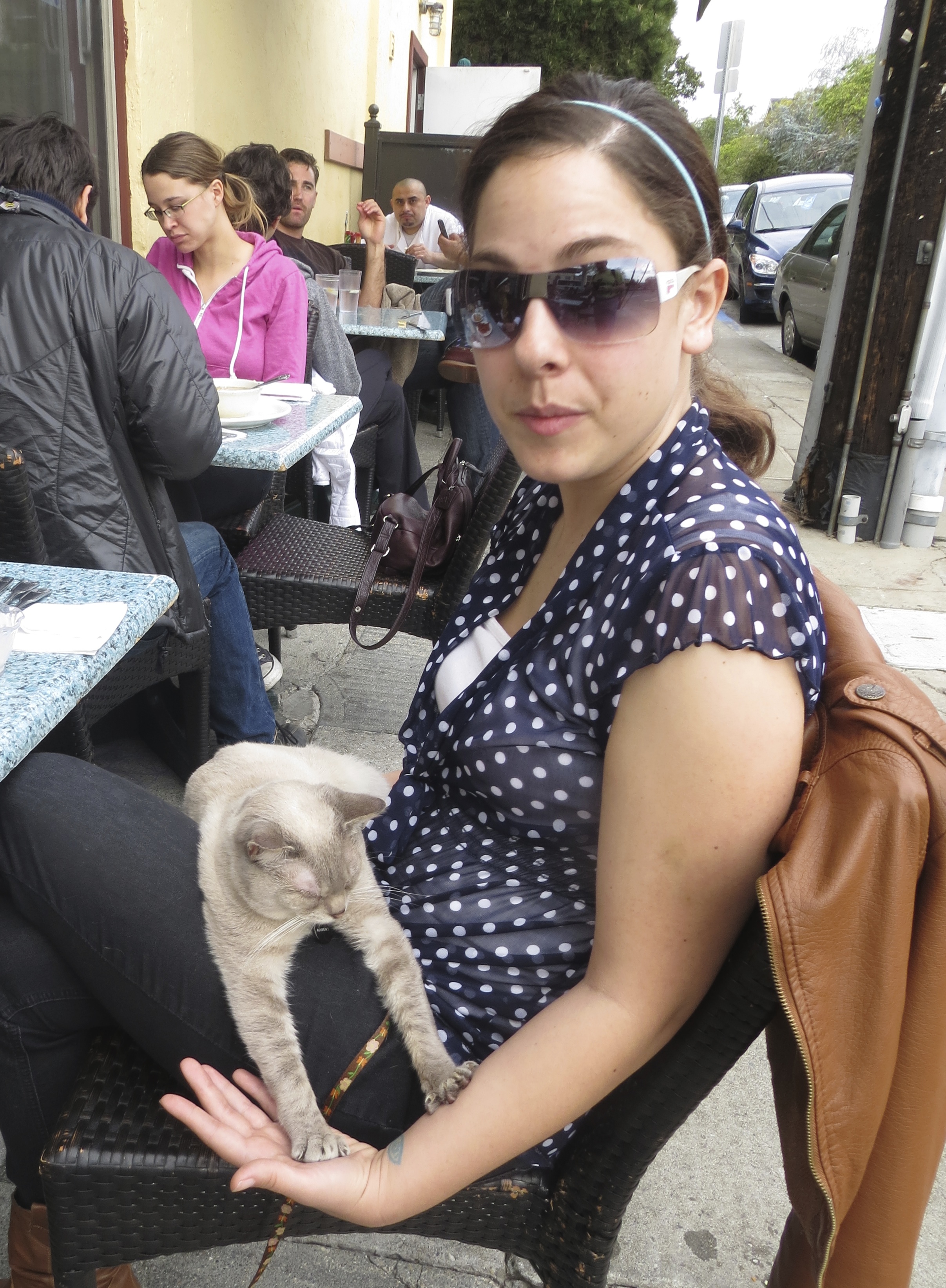Woman With Grey Cat In Her Lap