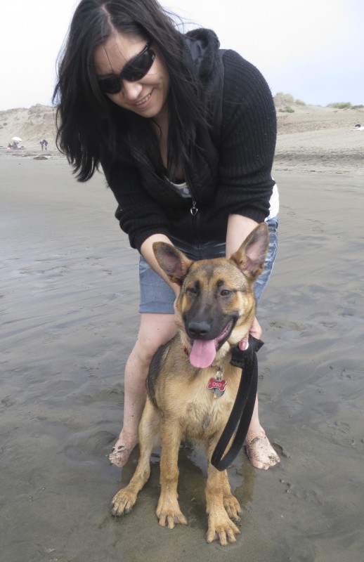 Grinning German Shepherd Puppy and Woman On Beach