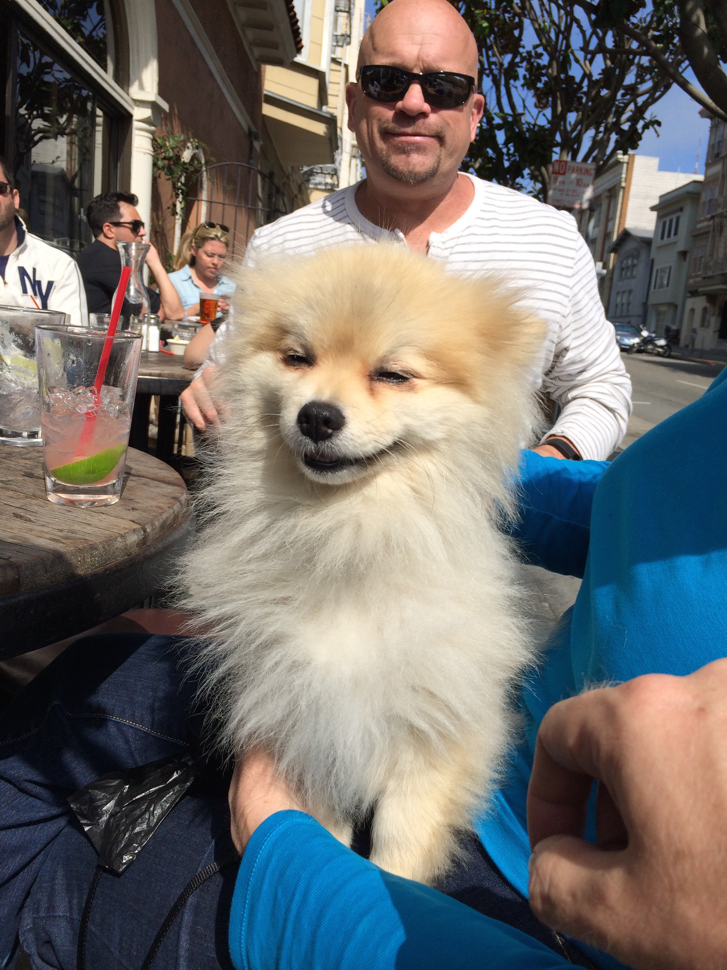 Smiling Pomeranian With Bald Man Behind Her