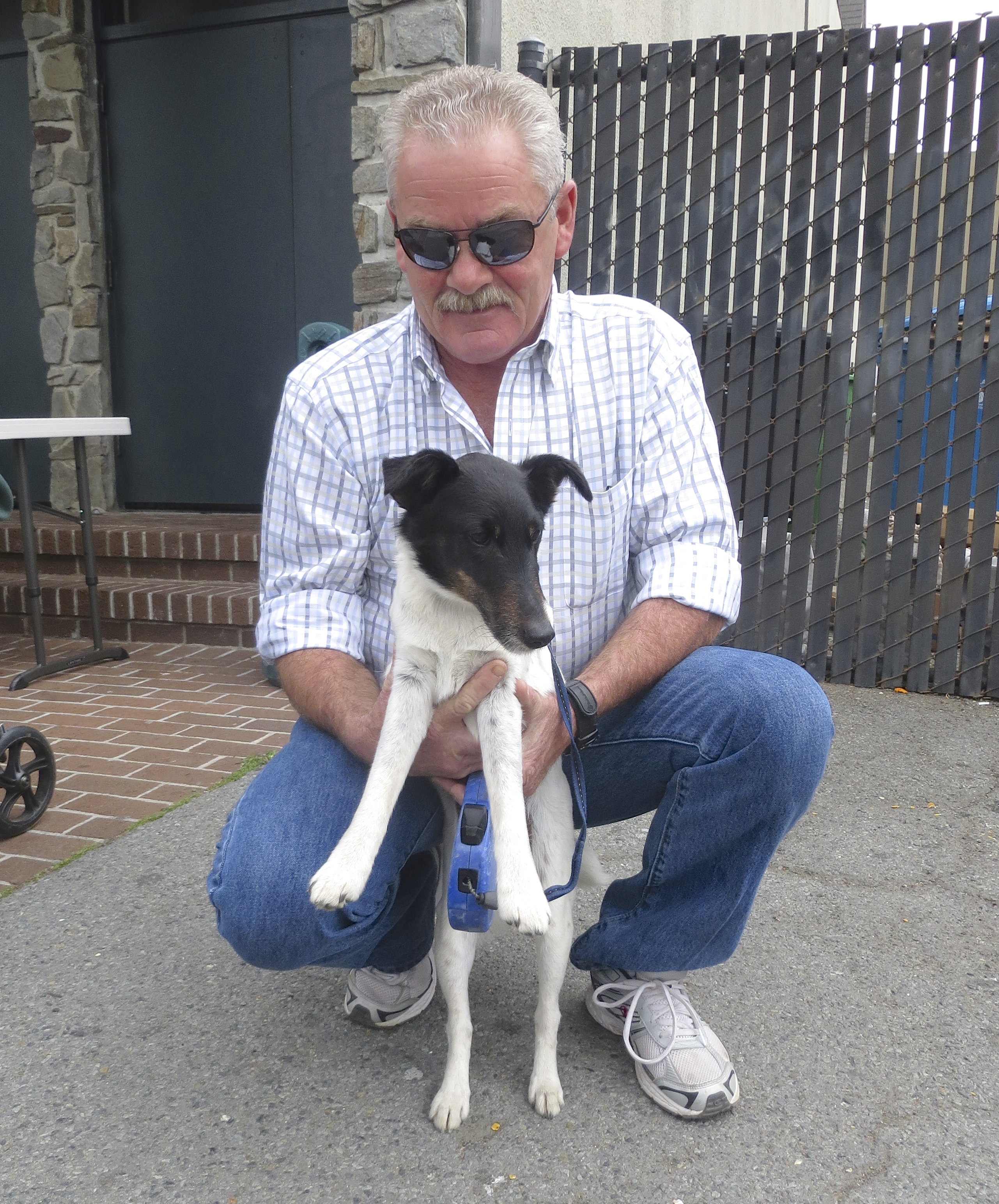 Man Holding Up Mostly White Tricolor Smooth Fox Terrier With Short Tail