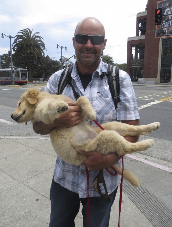Bald Man Holding Golden Retriever Puppy