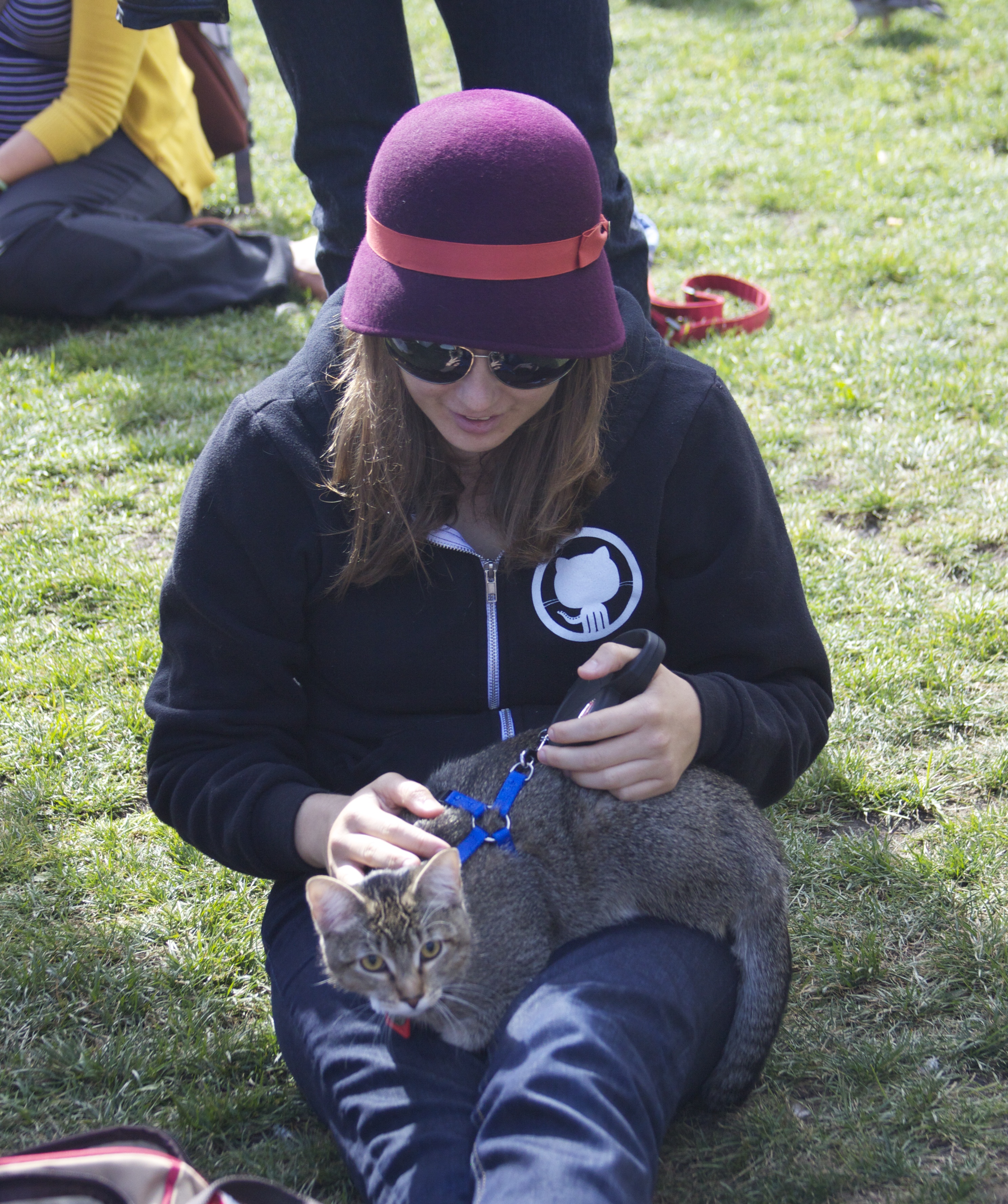 Woman in Octocat Sweatshirt With Cat In Her Lap