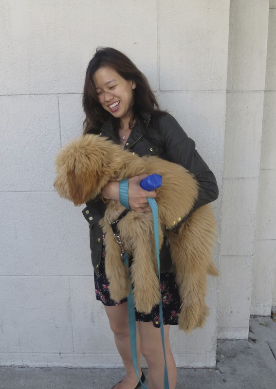 Woman Holding Large Double-Doodle Puppy In Her Arms