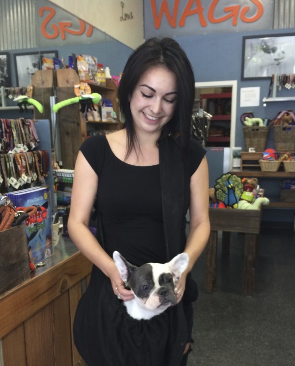 Grey And White French Bulldog Puppy In A Bag Around A Woman's Neck