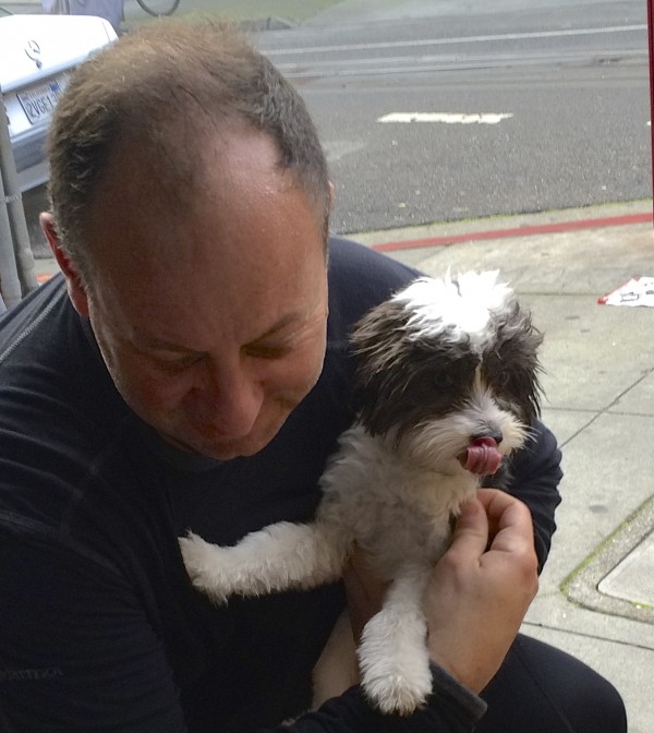 Man Hugging Black And White Maltese Poodle Mix Puppy Who Is Curling His Tongue