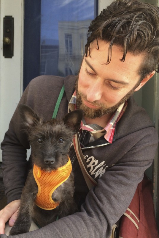Man With Schnauzer Mix Puppy In His Lap