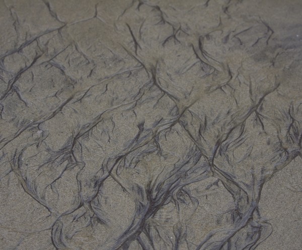 Black Wave-Marks On Grey Sand