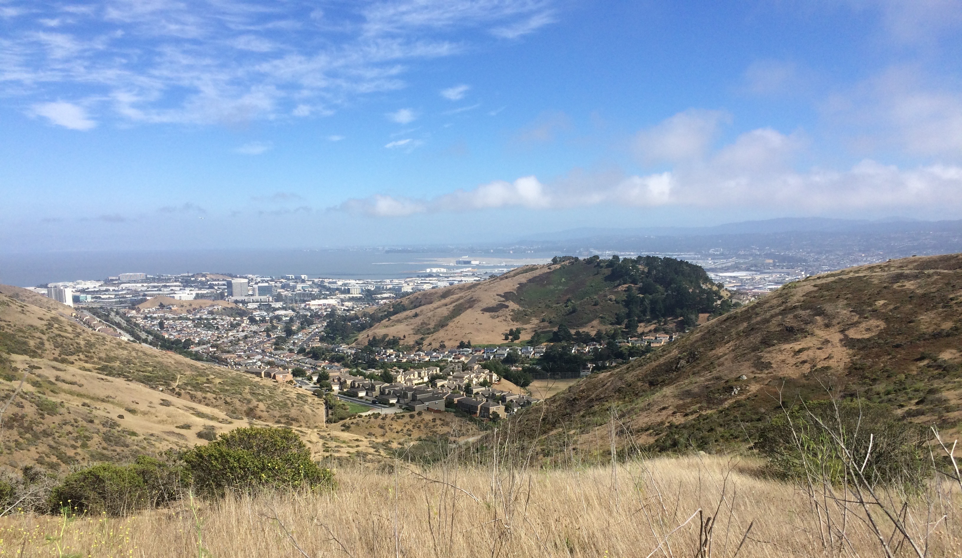 A view of South San Francisco, plus Sign Hill, as seen from San Bruno Mountain State Park.