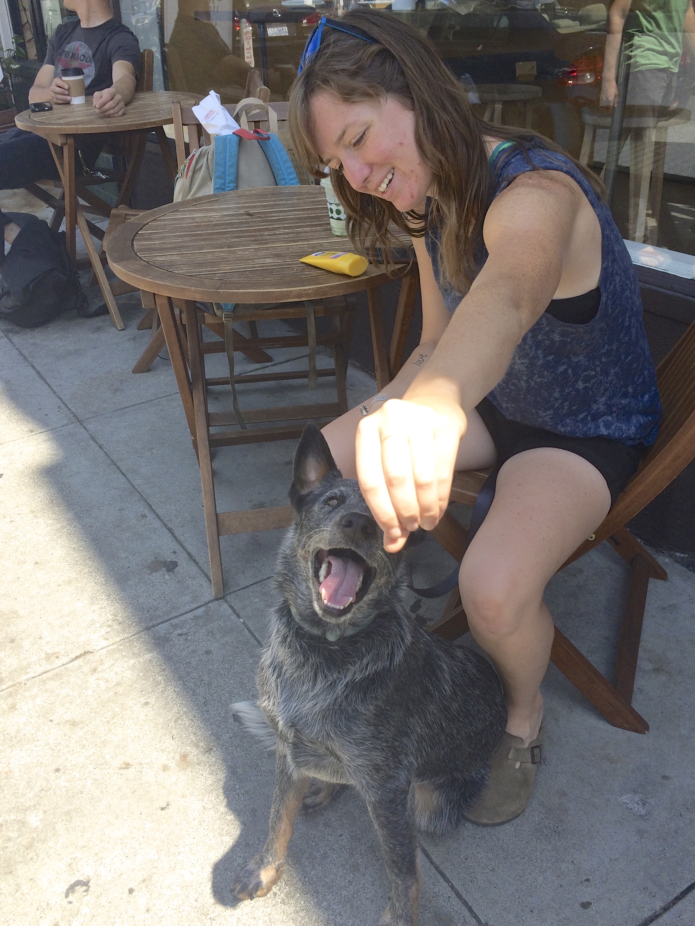 Woman Offering Treat To Smiling Blue Heeler