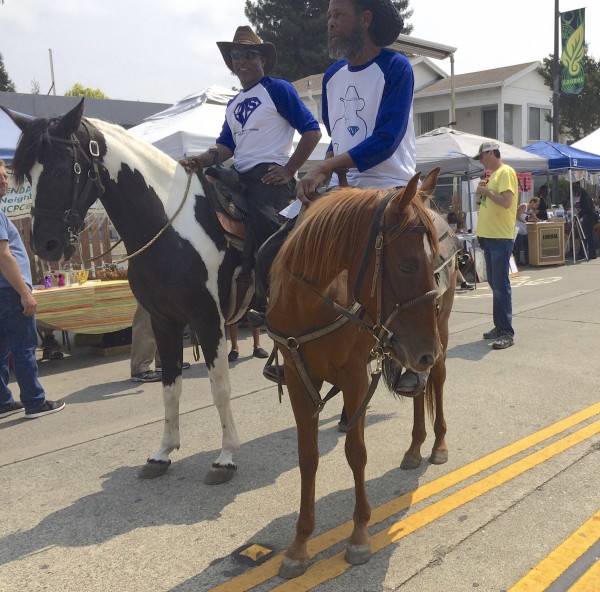 Two Horses On The Streets Of Oakland