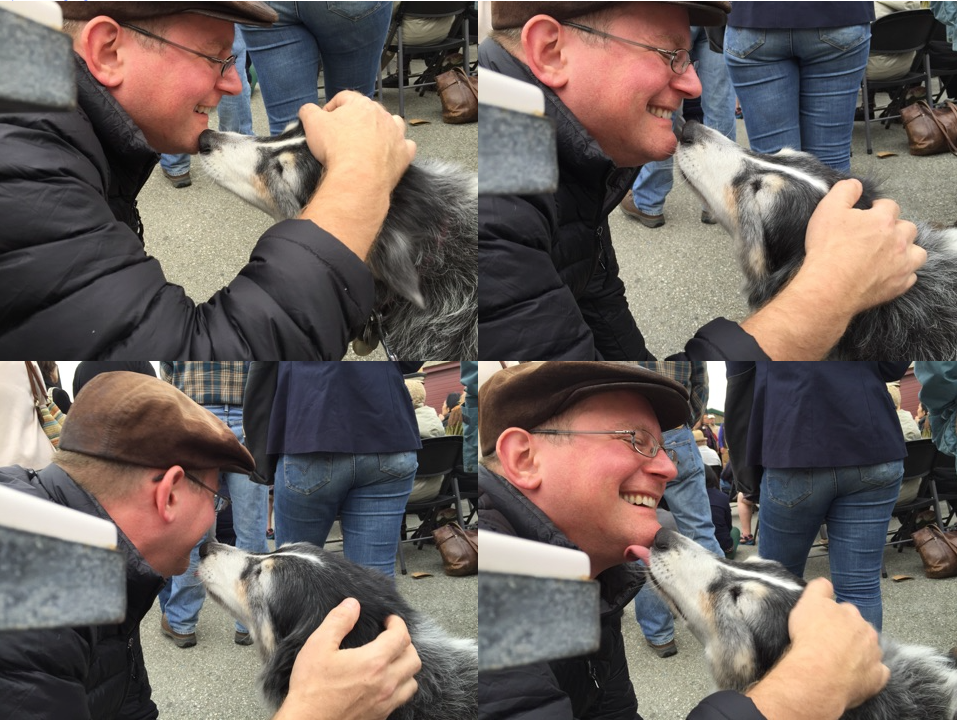 Tricolor Old Australian Shepherd Border Collie Mix Licking A Man's Face