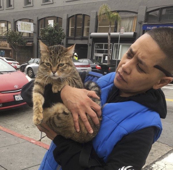 Person Holding Cat On Street