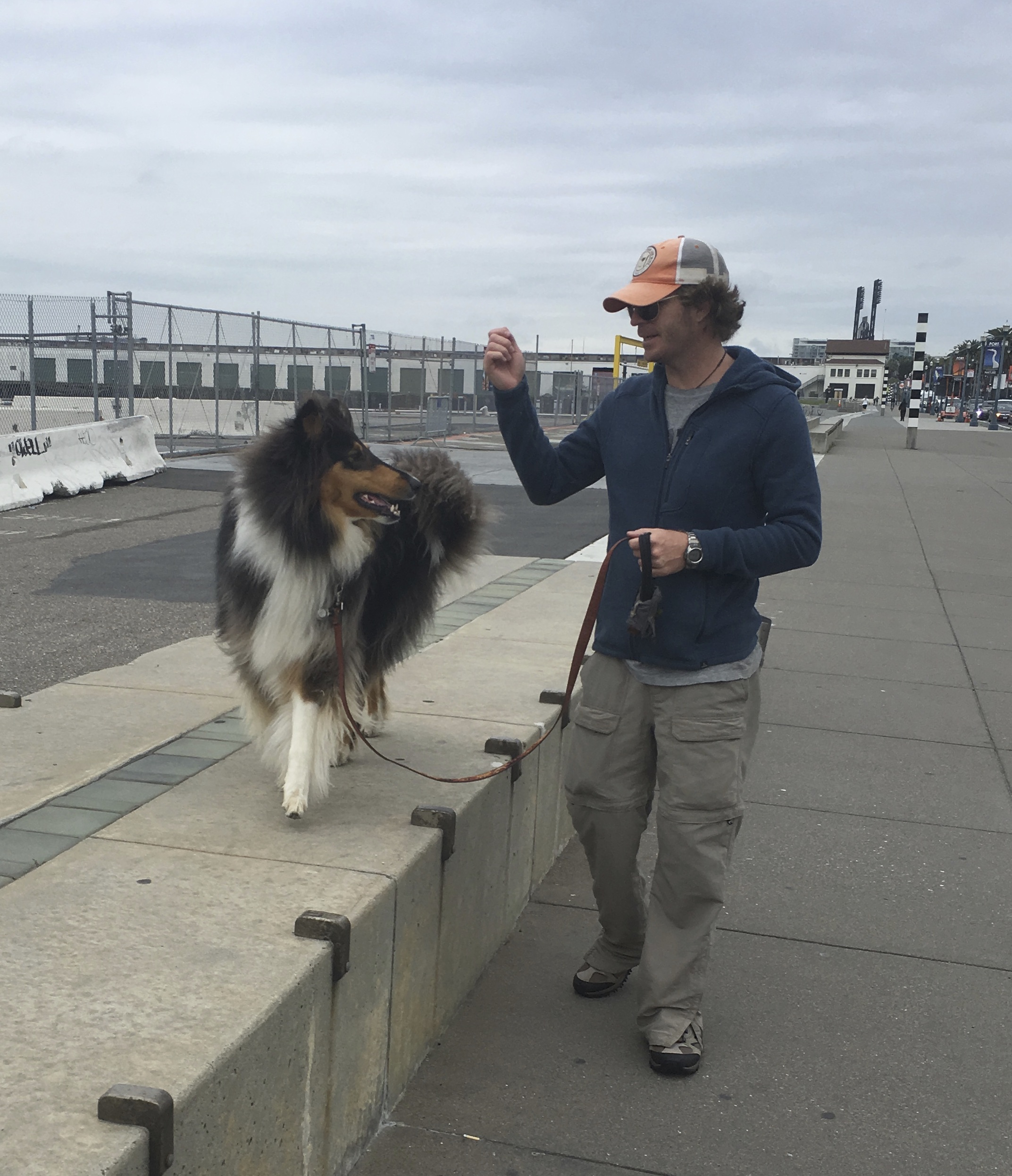 Man Walking Tricolor Collie On The Embarcadero In San Francisco