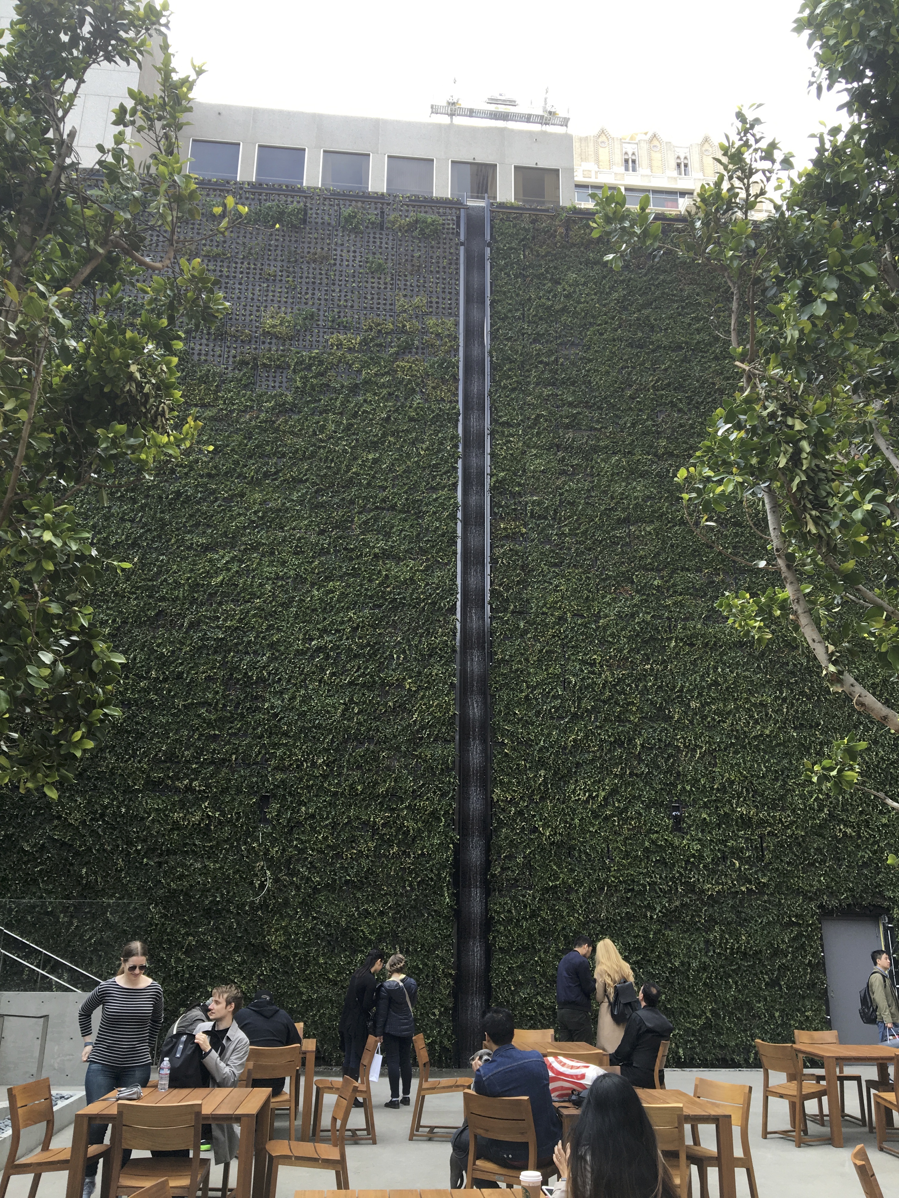 Apple's Green Wall In San Francisco