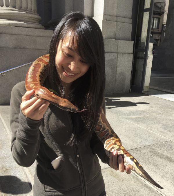 Asian Woman Holding Blood Python