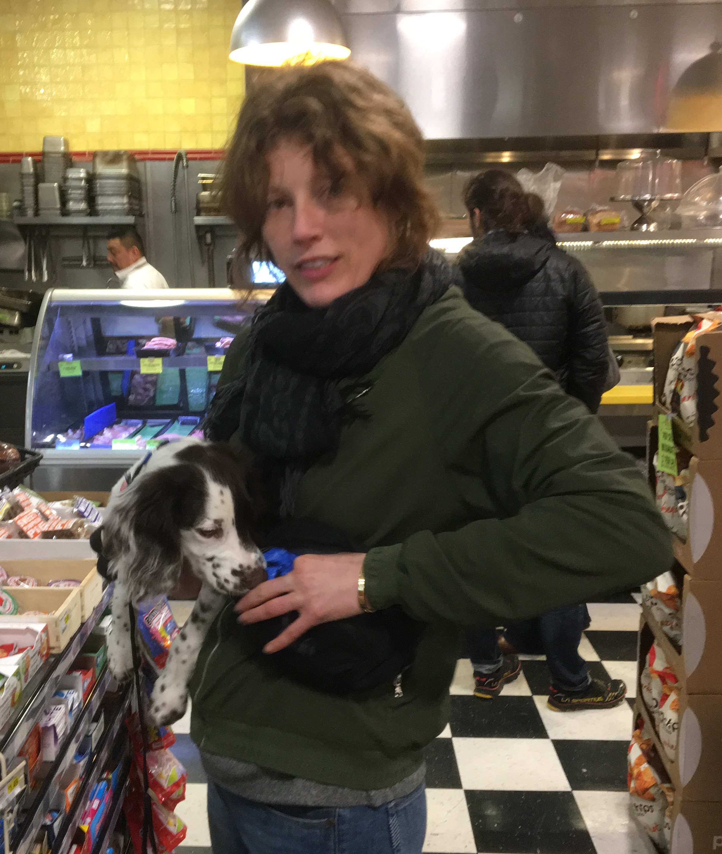 Woman Holding Adorable Little English Springer Spaniel Puppy