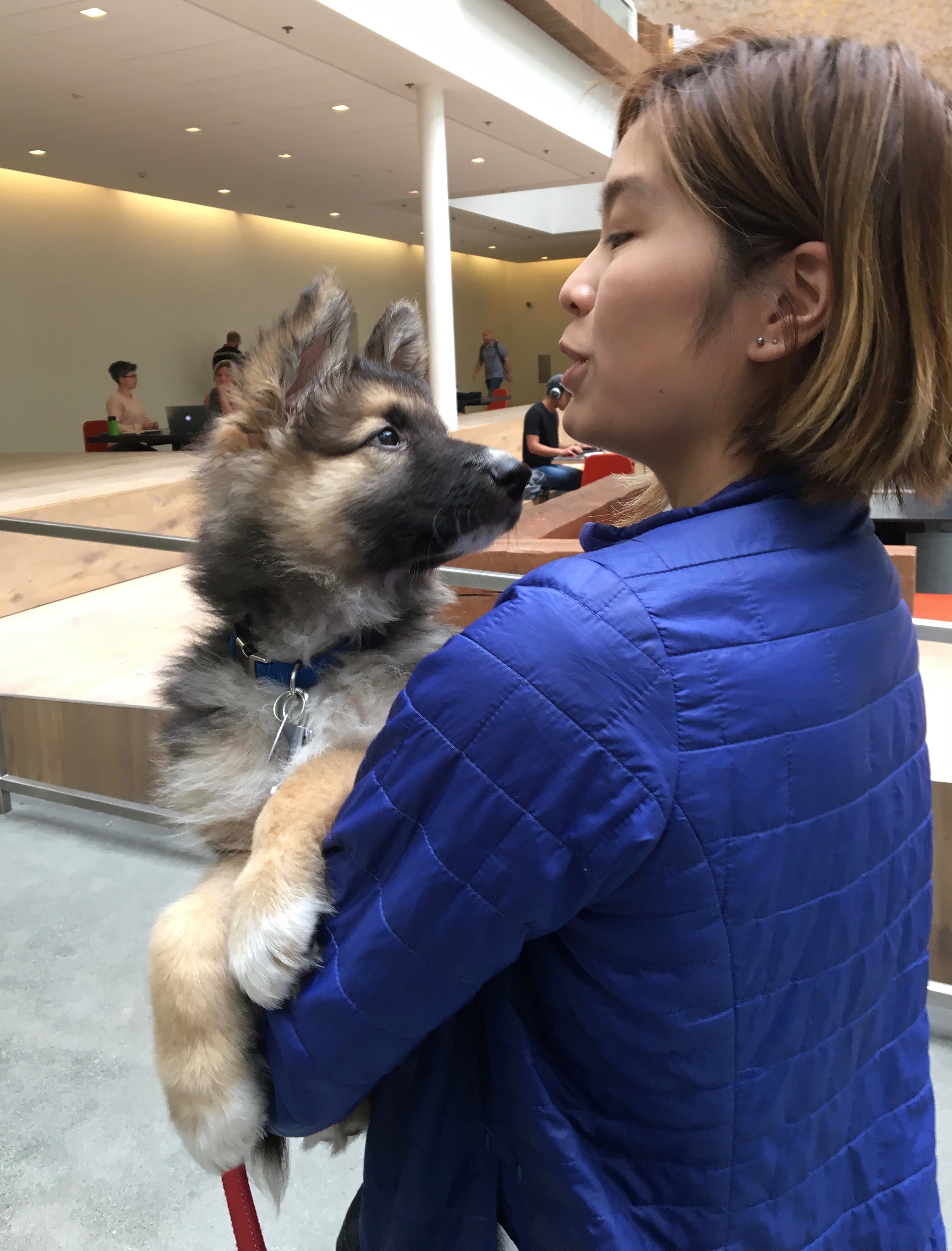 Woman Holding German Shepherd Puppy As They Gaze Lovingly At One Another