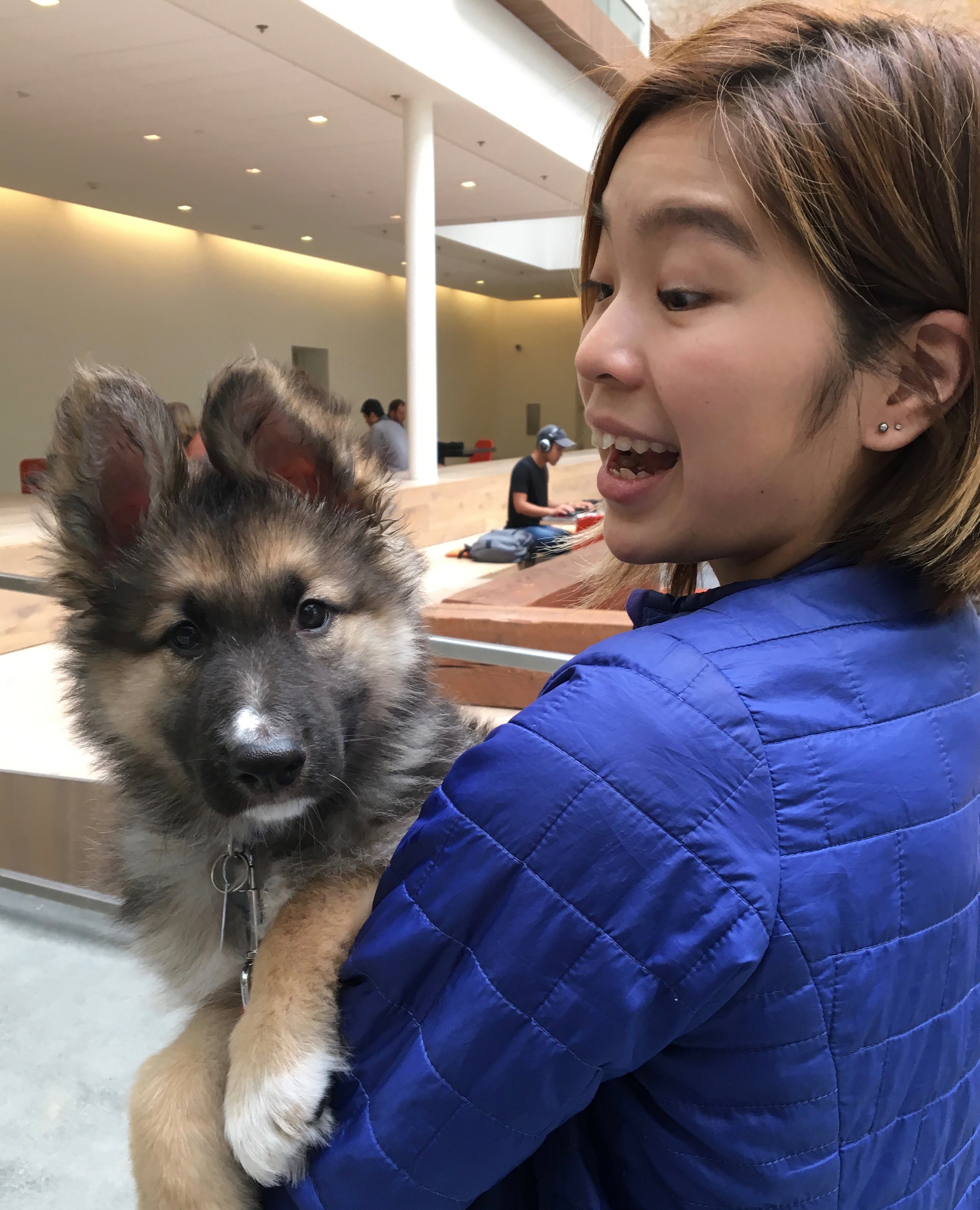 Woman Holding German Shepherd Puppy And Smiling Beatifically