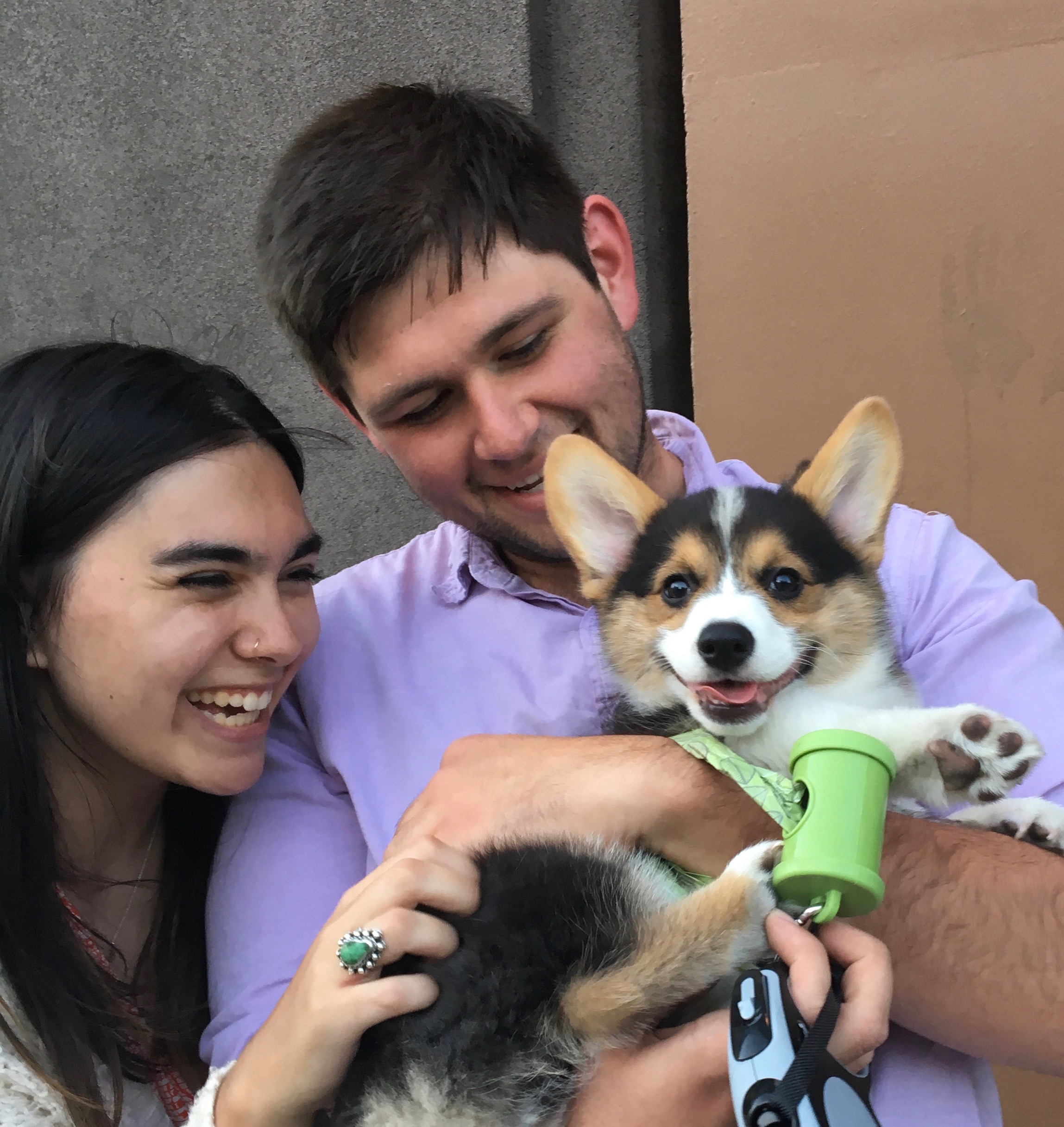 Man Holding Grinning Pembroke Corgi Puppy And Grinning While Woman Looks On And Grins Too
