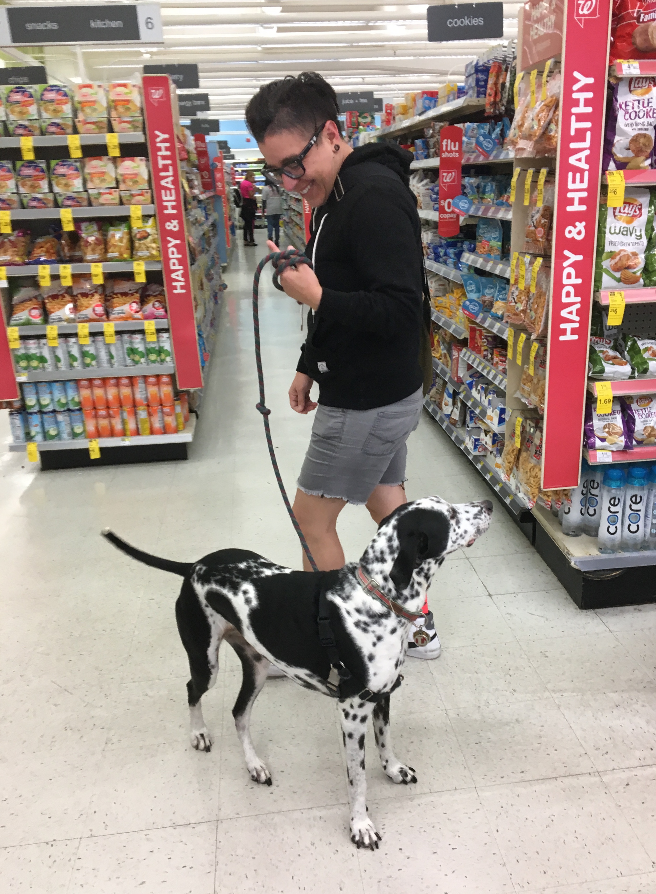Woman With Whippet English Pointer Mix