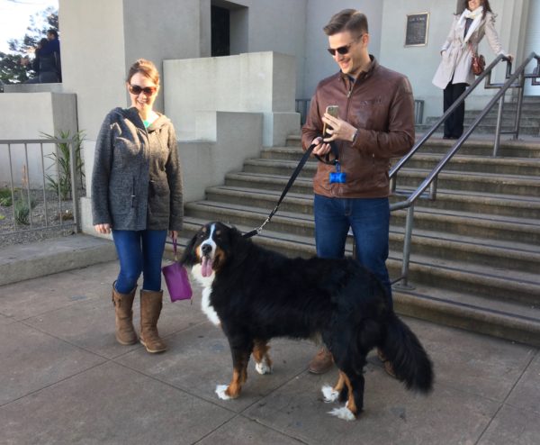 Man And Woman With Bernese Mountain Dog