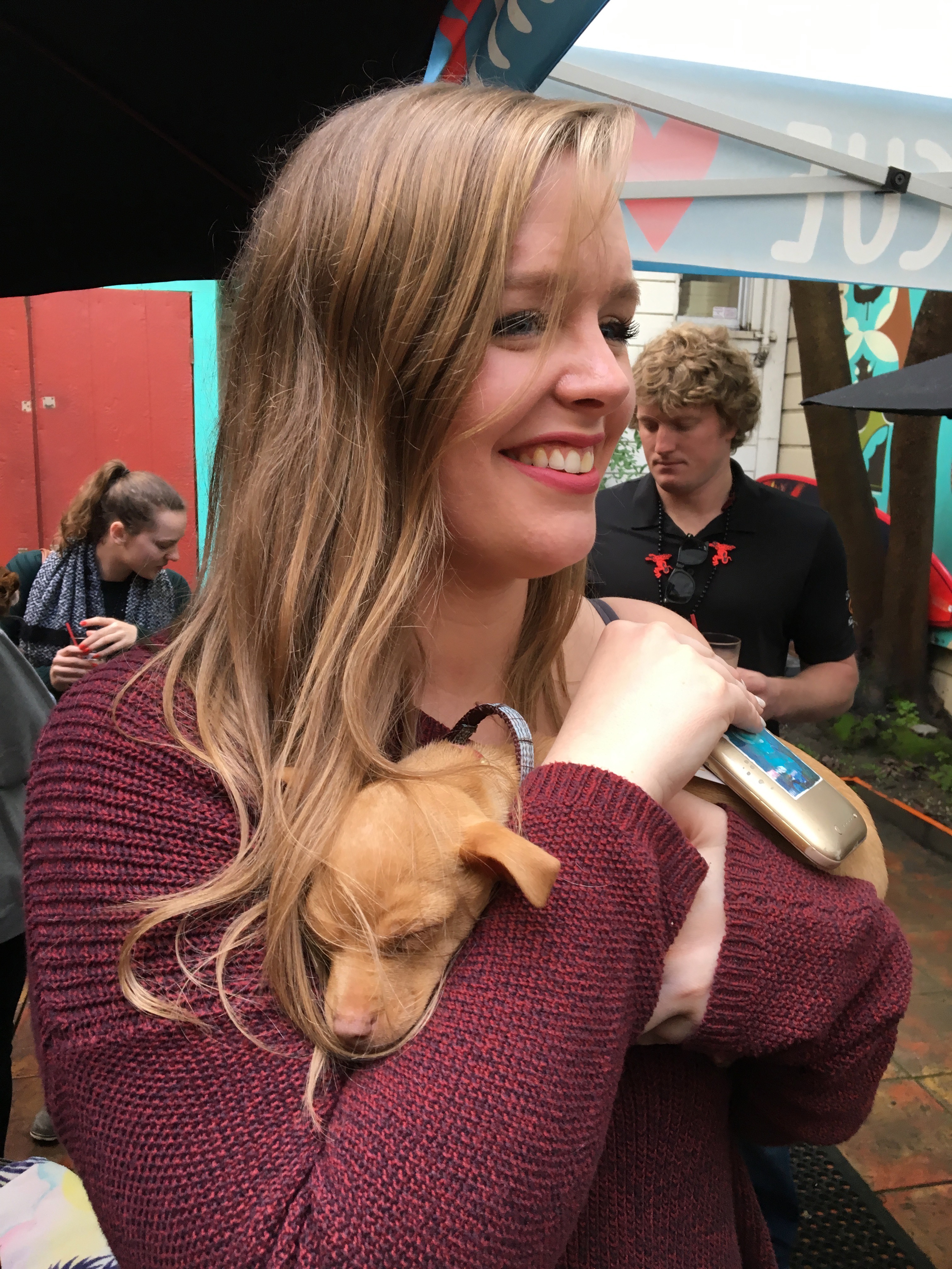 Woman Holding Chihuahua Puppy In Her Arms