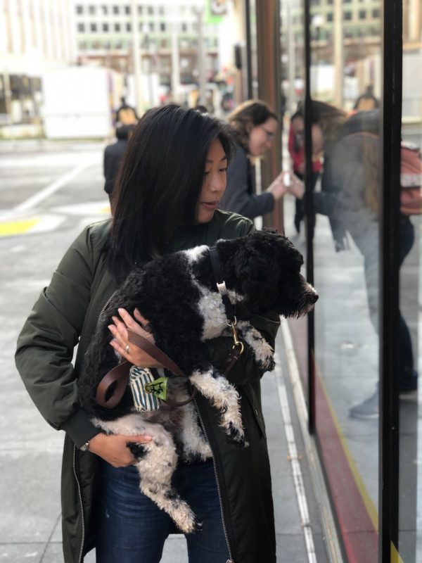 Woman Holding Schnauzer Poodle Mix While They Both Look In A Store Window