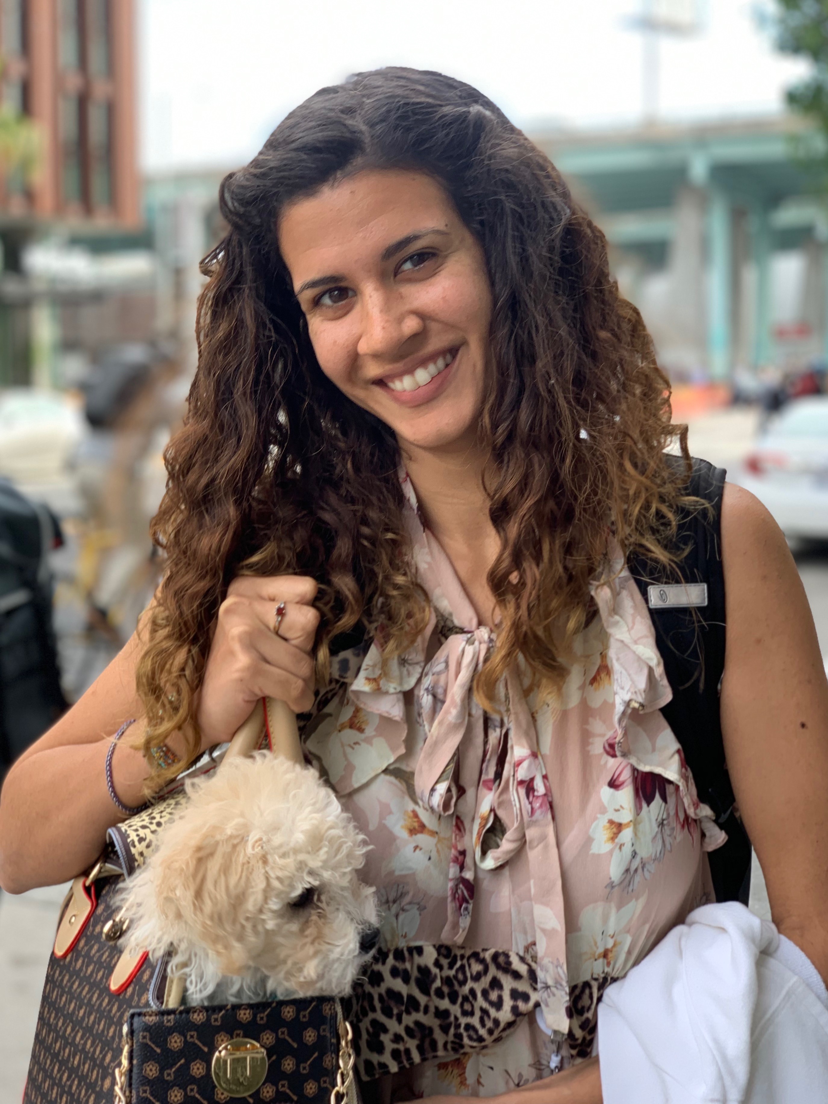 Woman With Cocker Spaniel Poodle Mix Puppy In Bag