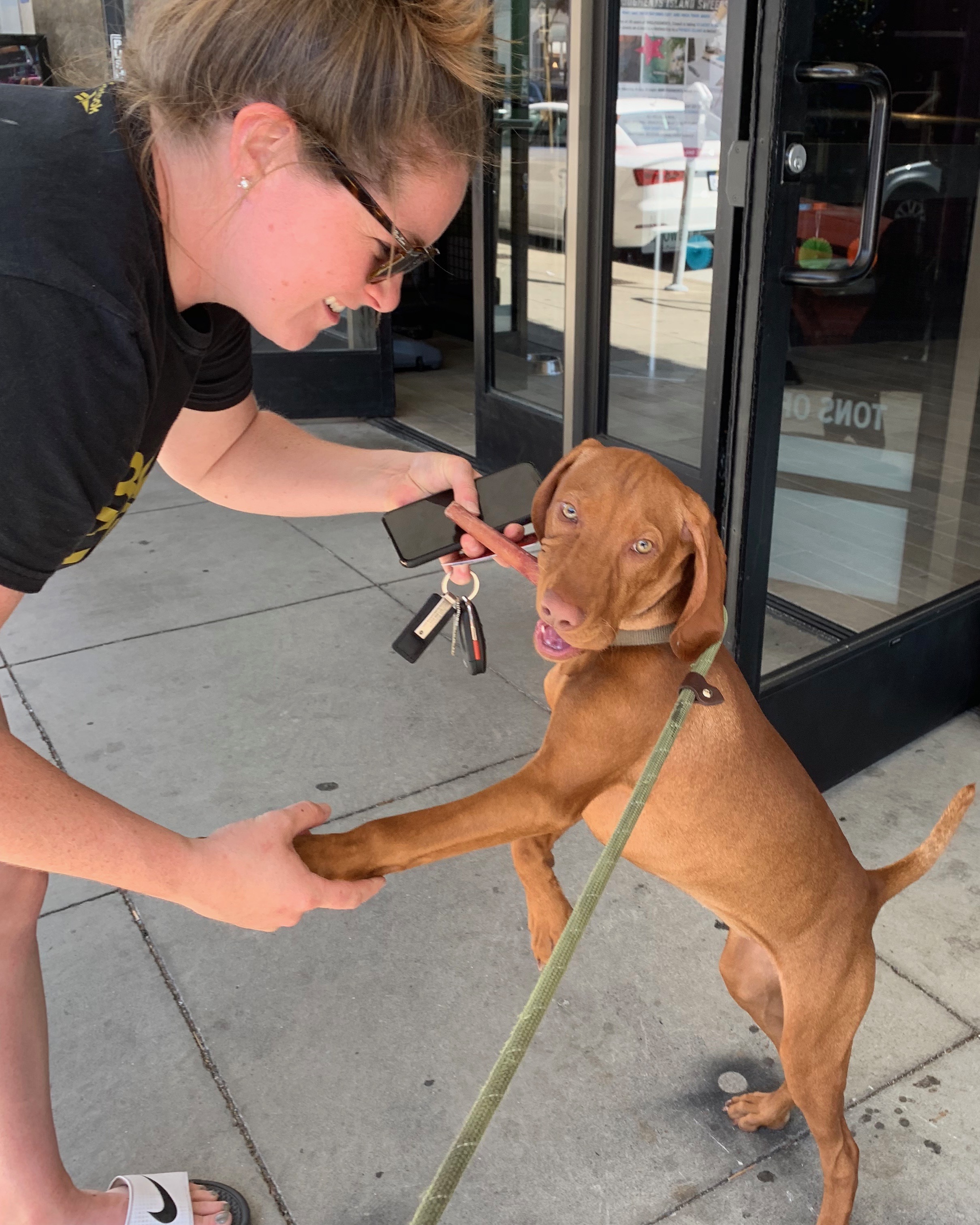 Woman Shaking Hand With Vizsla Puppy