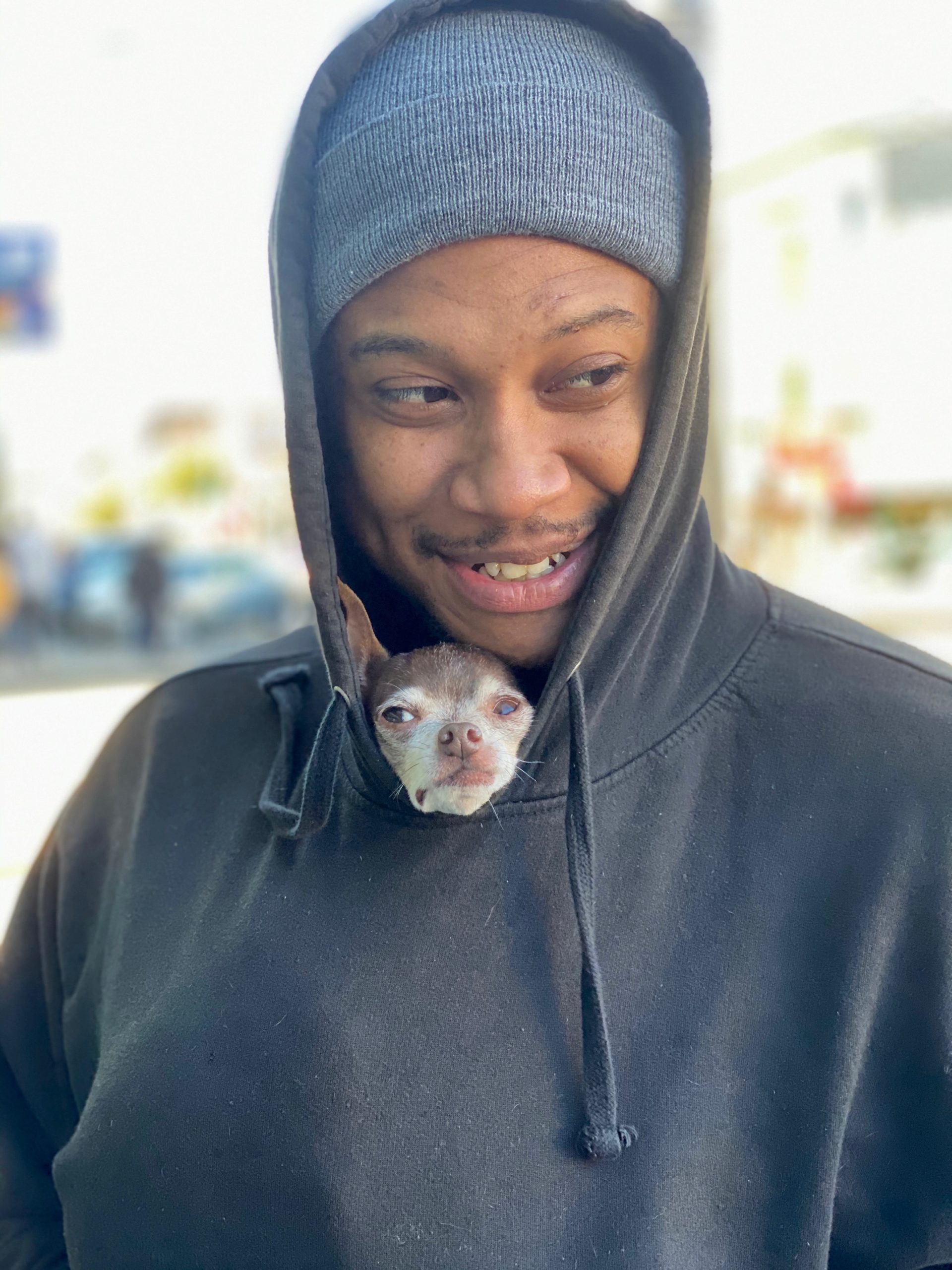 Man With Chihuahua In His Hoodie
