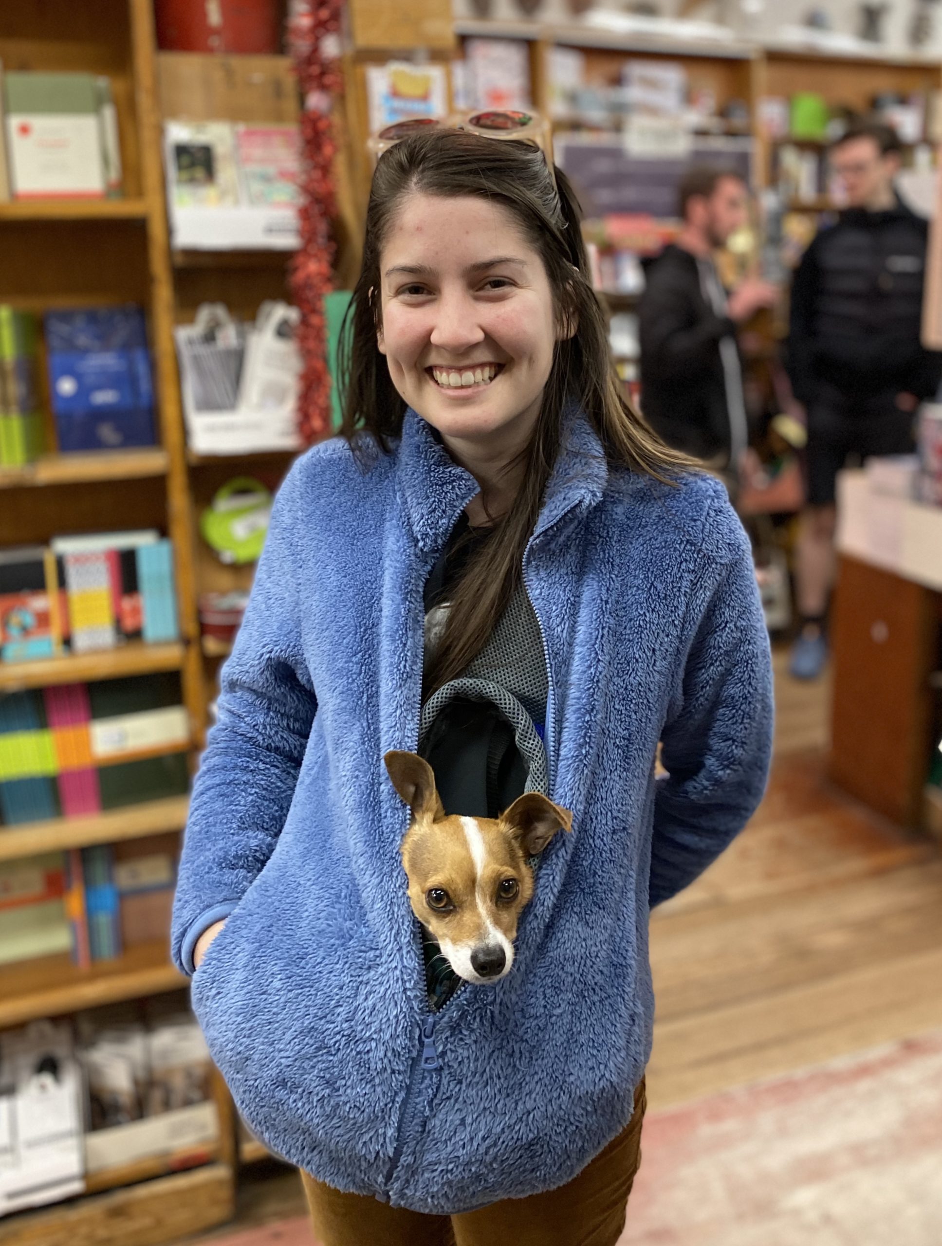 Woman With Italian Greyhound Chihuahua Mix In Her Sweatshirt