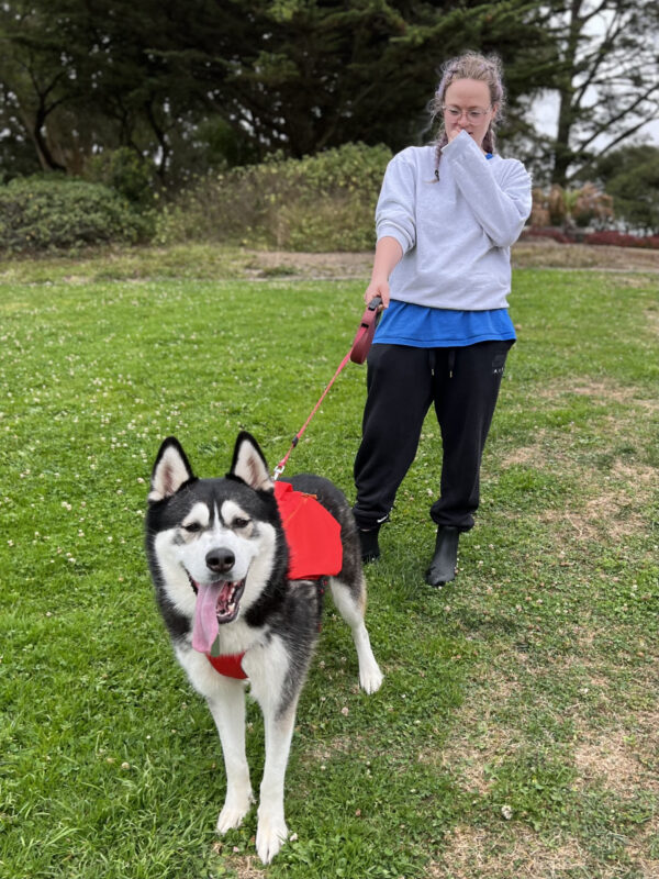 Woman With Extremely Happy Husky
