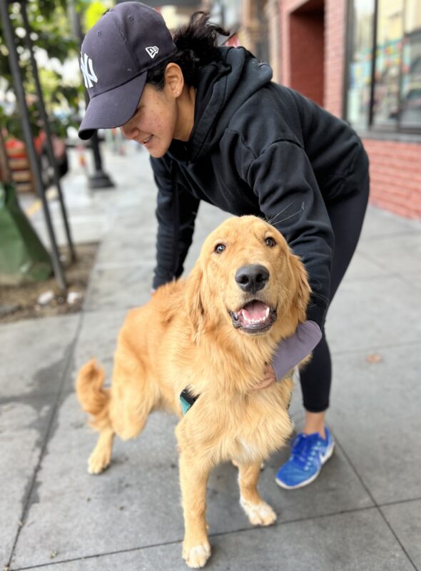 Woman Leaning Down To Hug Happy Golden Retriever