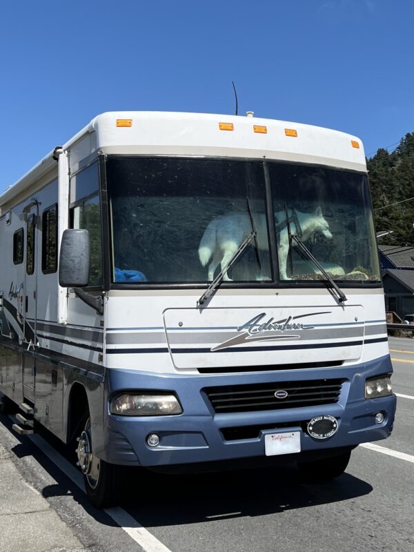 Motor Home With Large Husky Standing On Its Dashboard