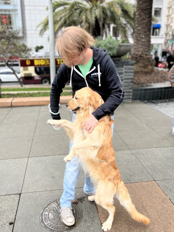Man And Golden Retriever Who Look Like They Are Dancing