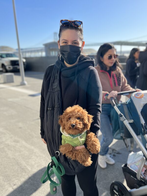 Woman Wearing Black Mask Holding Adorable Cavapoo Puppy In One Hand