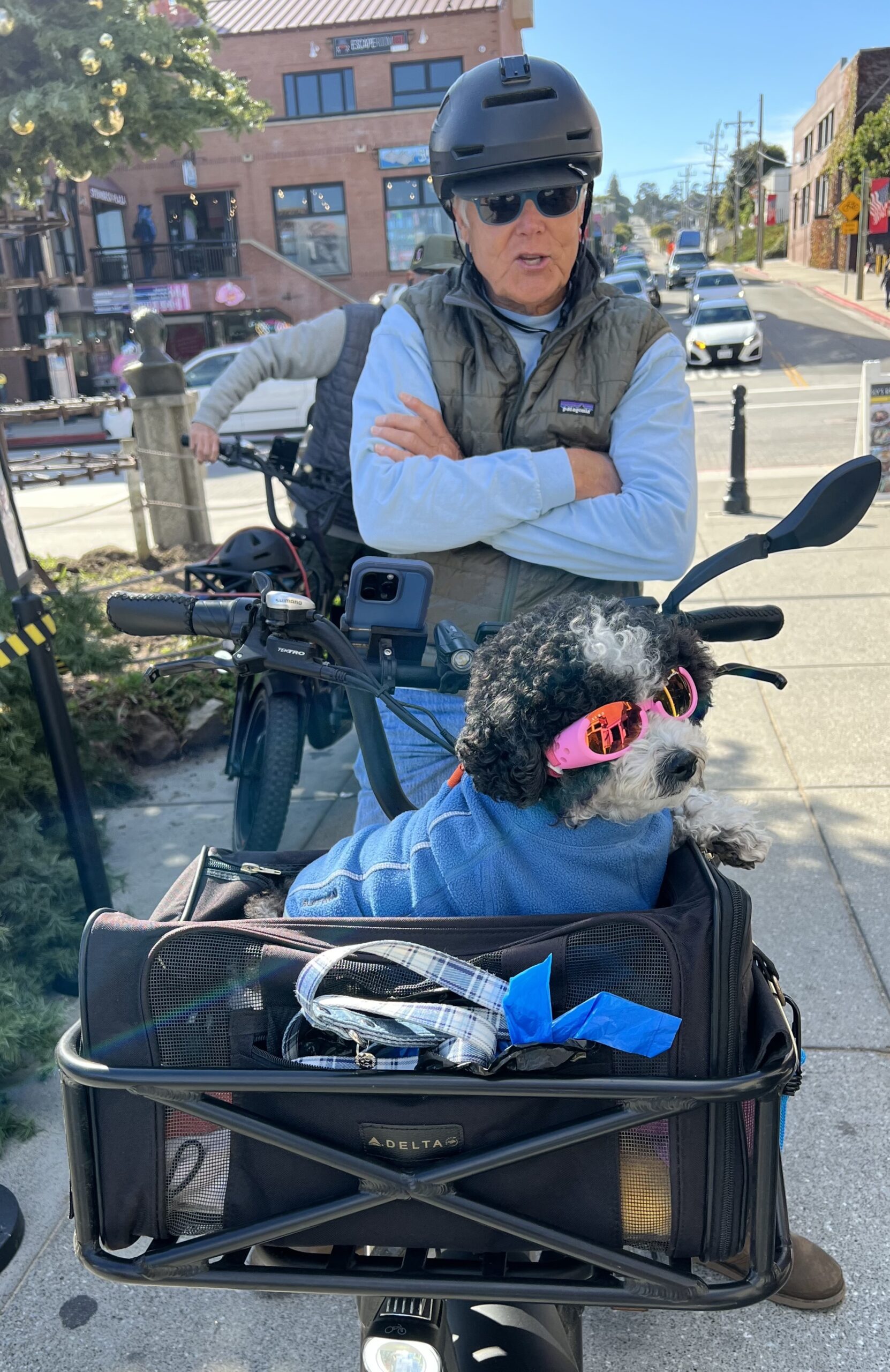 Man With Small Terrier Mix In Pink Goggles In The Basket Of His Bicycle