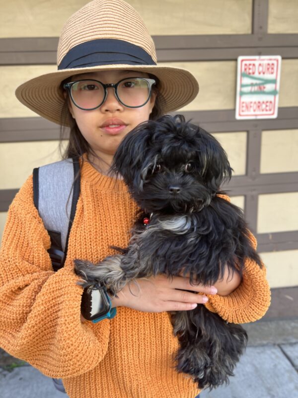 Girl Holding Black Shih Tzu Mix Puppy