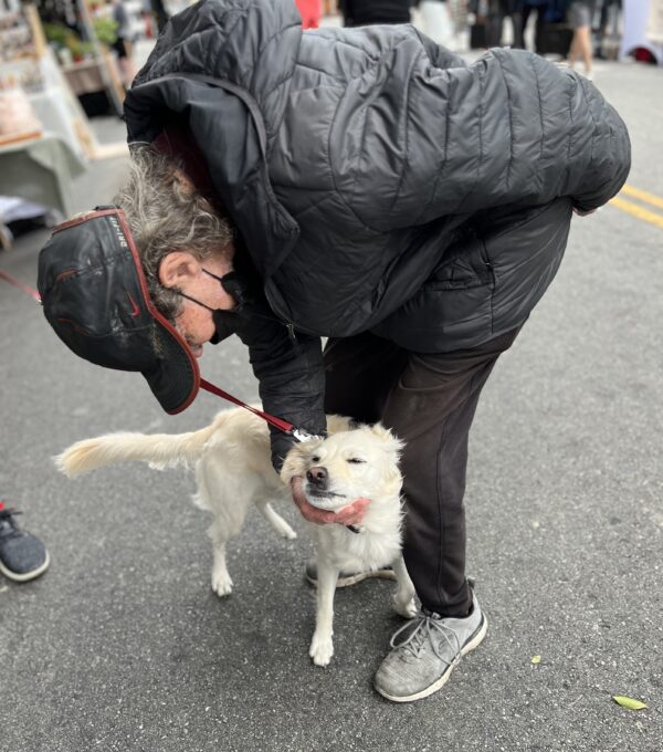 Woman Leaning Down To Pet Miniature Golden Retriever