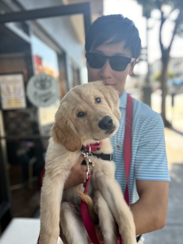 Man Holding Golden Retriever Puppy Who Is Tilting His Head