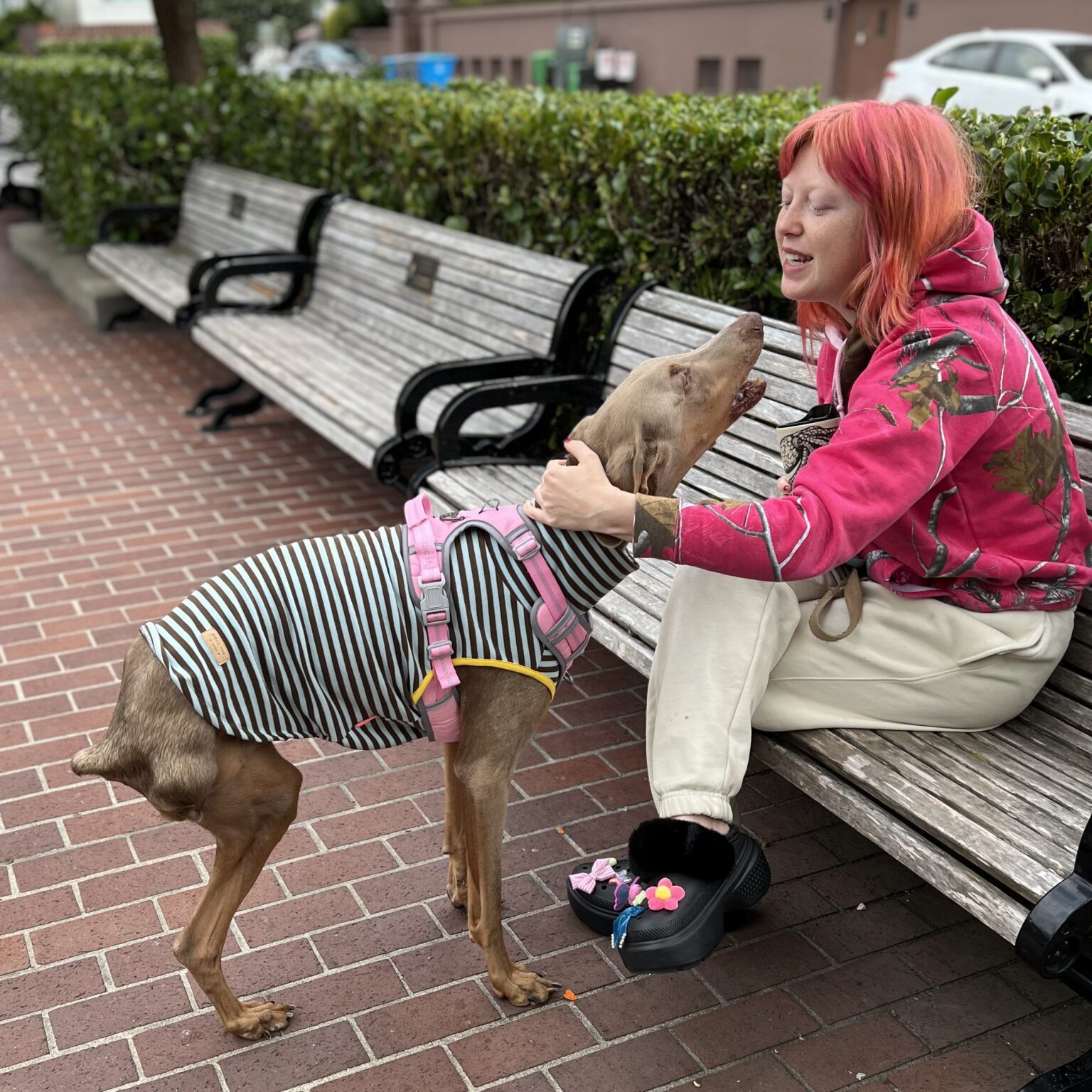 Woman With Orange Hair With Cute Three-Legged Dilute Doberman Pinscher