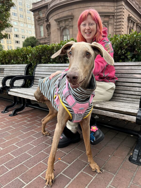 Woman With Orange Hair With Cute Three-Legged Dilute Doberman Pinscher