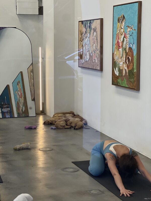 Woman Doing Yoga With A Pile Of Puppies Behind Her