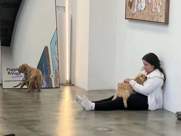 Woman With Golden Retriever Puppy In Her Lap